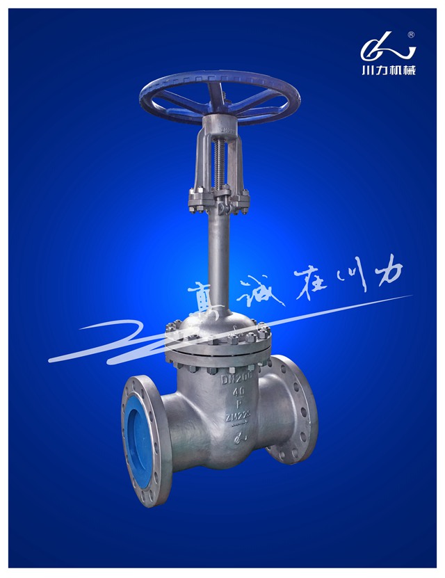 閘閥 低溫 DN200.jpg